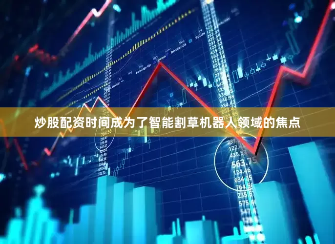 炒股配资时间成为了智能割草机器人领域的焦点
