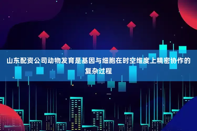 山东配资公司动物发育是基因与细胞在时空维度上精密协作的复杂过程