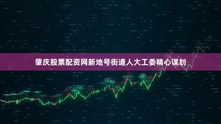 肇庆股票配资网新地号街道人大工委精心谋划