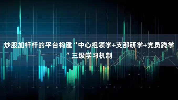 炒股加杆杆的平台构建“中心组领学+支部研学+党员践学”三级学习机制